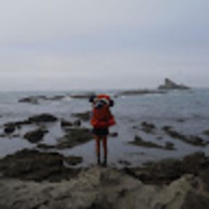 Meet your Posher, Dylan